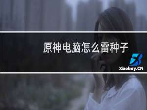 原神电脑怎么雷种子