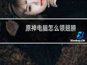 原神电脑怎么领翅膀