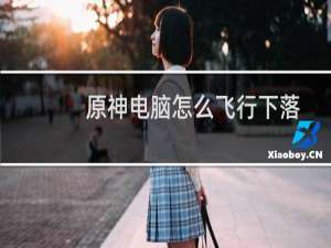 原神电脑怎么飞行下落