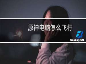 原神电脑怎么飞行