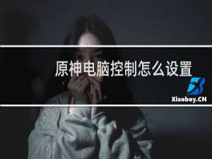 原神电脑控制怎么设置