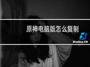 原神电脑版怎么复制