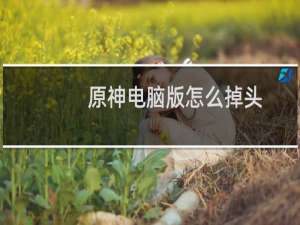 原神电脑版怎么掉头