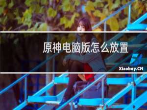 原神电脑版怎么放置