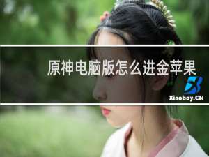 原神电脑版怎么进金苹果