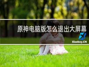 原神电脑版怎么退出大屏幕