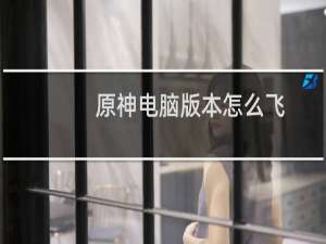 原神电脑版本怎么飞