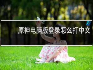 原神电脑版登录怎么打中文