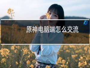 原神电脑端怎么交流