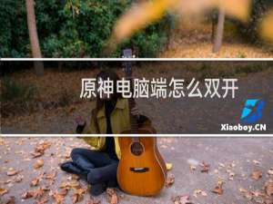 原神电脑端怎么双开