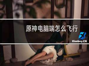 原神电脑端怎么飞行