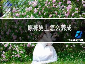 原神男主怎么养成
