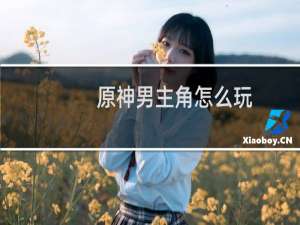 原神男主角怎么玩