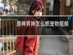 原神男神怎么抓宠物视频