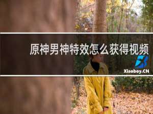 原神男神特效怎么获得视频