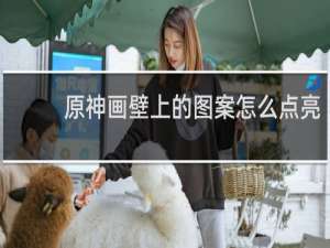 原神画壁上的图案怎么点亮