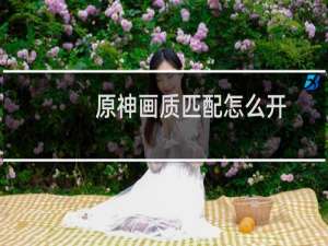 原神画质匹配怎么开