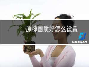 原神画质好怎么设置