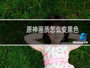 原神画质怎么变黑色