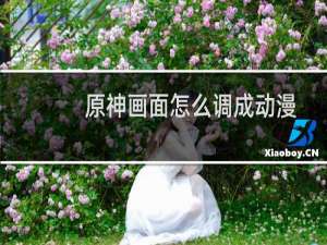 原神画面怎么调成动漫