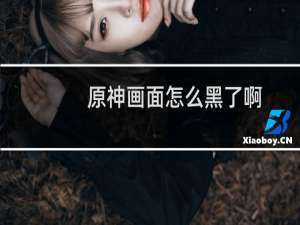 原神画面怎么黑了啊