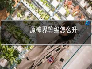 原神界等级怎么升