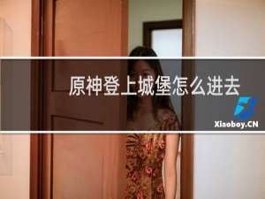 原神登上城堡怎么进去