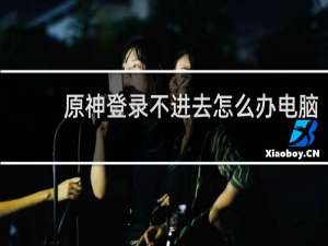 原神登录不进去怎么办电脑