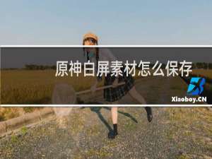 原神白屏素材怎么保存