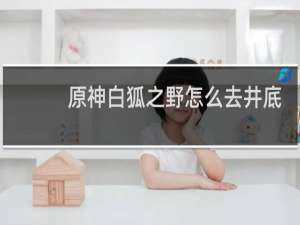 原神白狐之野怎么去井底