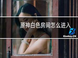 原神白色房间怎么进入