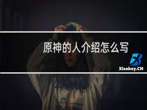 原神的人介绍怎么写