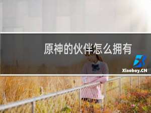 原神的伙伴怎么拥有