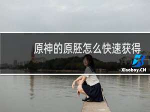 原神的原胚怎么快速获得