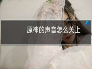 原神的声音怎么关上