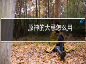 原神的大忌怎么用