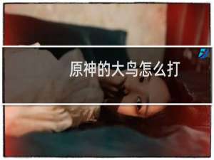 原神的大鸟怎么打