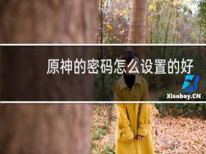 原神的密码怎么设置的好