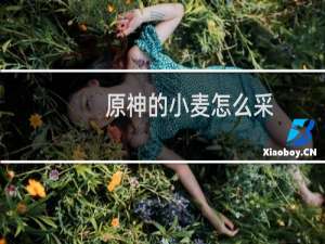 原神的小麦怎么采