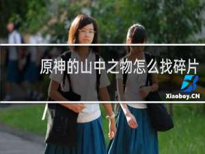原神的山中之物怎么找碎片
