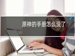 原神的手册怎么没了