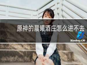 原神的晨曦酒庄怎么进不去