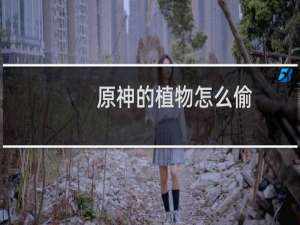 原神的植物怎么偷