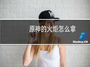 原神的火炬怎么拿