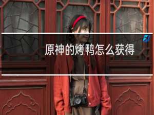 原神的烤鸭怎么获得