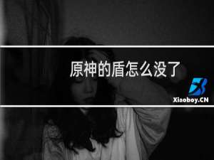 原神的盾怎么没了
