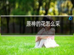 原神的花怎么采