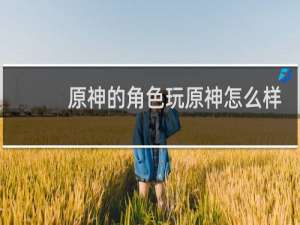 原神的角色玩原神怎么样