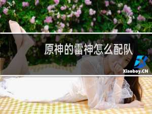 原神的雷神怎么配队