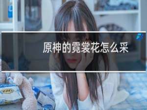 原神的霓裳花怎么采